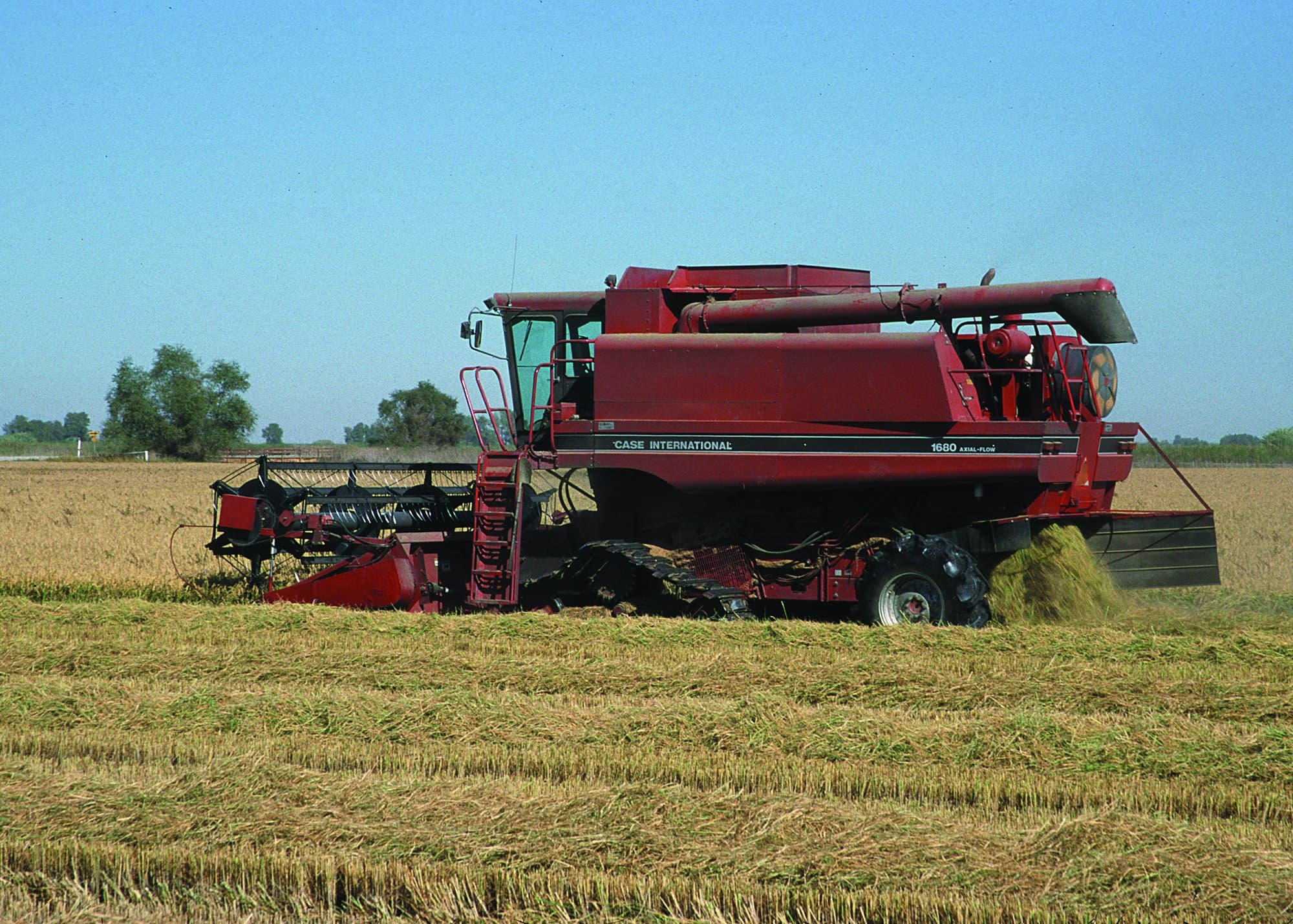 A red combine harvesting rice in a Northern California field